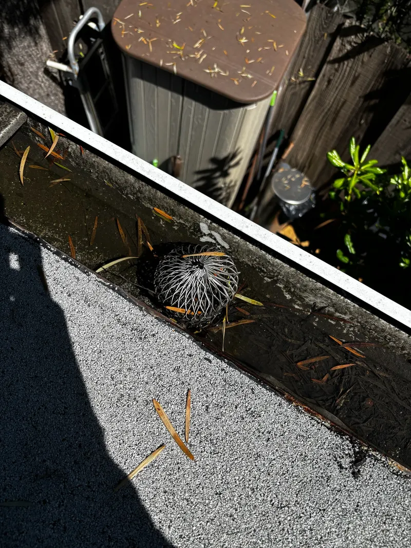 Gutter Cleaning in Brentwood